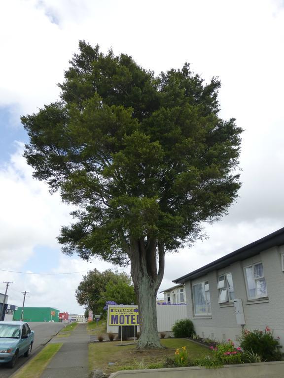 Totara Lodge Motel Levin Extérieur photo